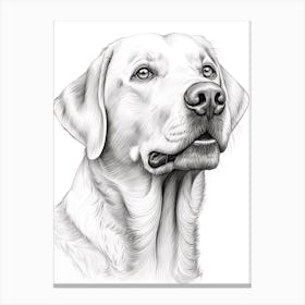 Labrador Retriever Dog, Line Drawing 4 Canvas Print