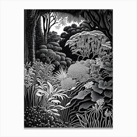 San Diego Botanic Garden, 1, Usa Linocut Black And White Vintage Canvas Print