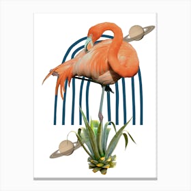 Flamingo abstract Canvas Print