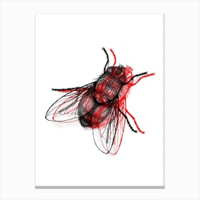 Fly Red Canvas Print
