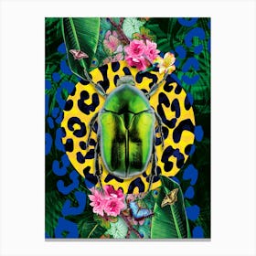 Insect Scarab Beetle Leopard Print Blue Canvas Print