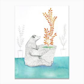 Bear and Plant Canvas Print