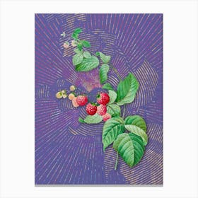 Vintage Red Berries Botanical Illustration on Veri Peri n.0498 Canvas Print