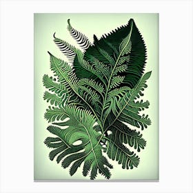 Scaly Cloak Fern Vintage Botanical Poster Canvas Print