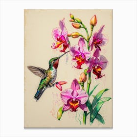 Hummingbird 12 Canvas Print