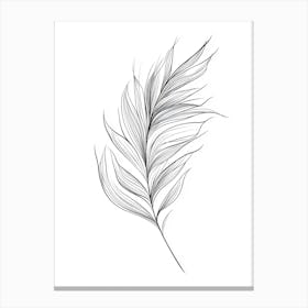 Feather Drawing Canvas Print