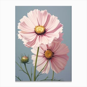 Floral Illustration Cosmos 3 Canvas Print