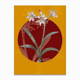 Vintage Botanical Amaryllis on Circle Red on Yellow n.0055 Canvas Print