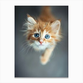 Kitten With Blue Eyes Canvas Print