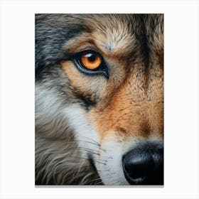 Indian Wolf Eye 4 Canvas Print