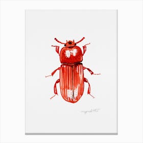 Uloma culinaris, a darkling beetle, watercolor artwork Canvas Print