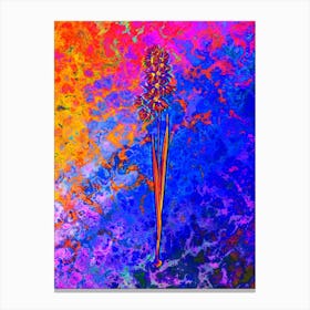 Turquoise Ixia Botanical in Acid Neon Pink Green and Blue n.0102 Canvas Print