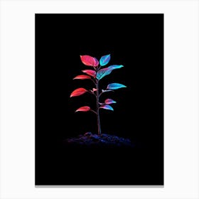 Plant In The Dark 43 Canvas Print