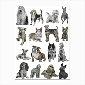 British Dog Breeds Illustration Canvas Print