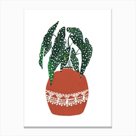 Polka Dot Plant Canvas Print
