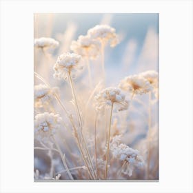 Frosty Botanical Scabiosa 4 Canvas Print