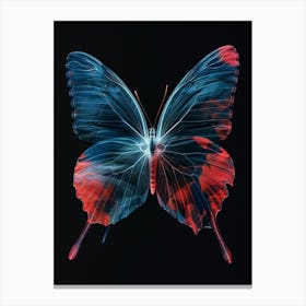 Butterfly 13 Canvas Print