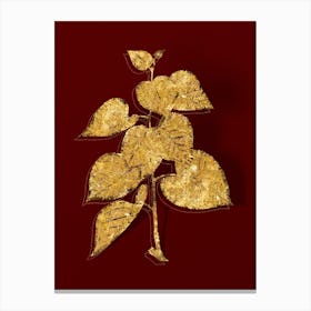 Vintage Quaking Aspen Botanical in Gold on Red Canvas Print
