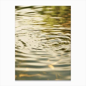 Water Ripples 5 Canvas Print