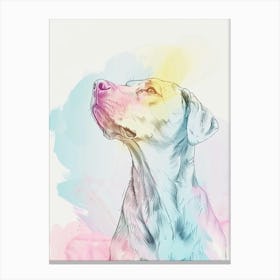Pointer Dog Watercolour Line Illustration Canvas Print
