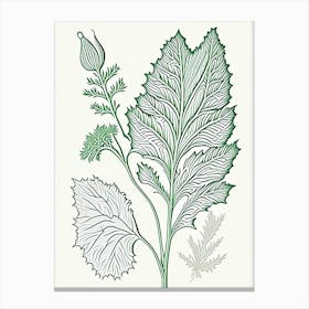 Horseradish Herb William Morris Inspired Line Drawing 2 Canvas Print