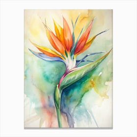 Bird Of Paradise 1 Canvas Print