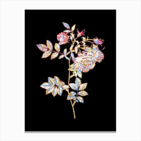 Stained Glass Turnip Roses Mosaic Botanical Illustration on Black Canvas Print