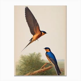 Barn Swallow 2 James Audubon Vintage Style Bird Canvas Print