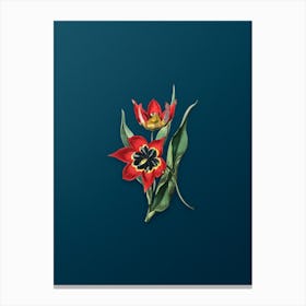 Vintage Red Strong Smelling Tulip Botanical Art on Teal Blue n.0880 Canvas Print