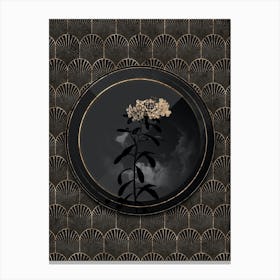 Shadowy Vintage Small White Flowers Botanical in Black and Gold Canvas Print