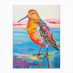 Colourful Bird Painting Dunlin 1 Canvas Print