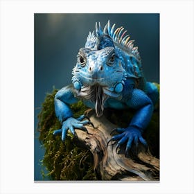 Blue Iguana (lizard) Canvas Print