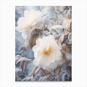 Frosty Botanical Camellia 6 Canvas Print