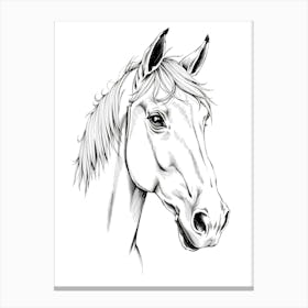 Horse Head Drawing Canvas Print