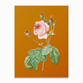 Vintage Cabbage Rose Botanical on Sunset Orange Canvas Print