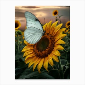Butterfly On Sunflower 1 Canvas Print