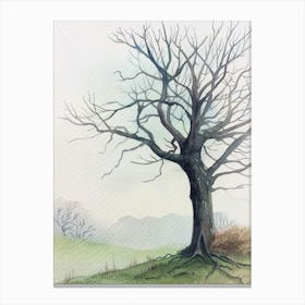 Ebony Tree Atmospheric Watercolour Painting 3 Canvas Print