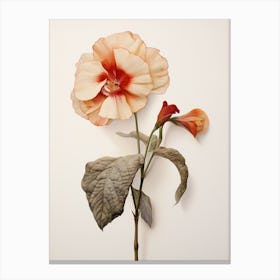 Pressed Flower Botanical Art Impatiens Canvas Print