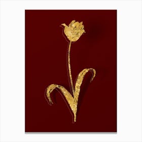 Vintage Didier's Tulip Botanical in Gold on Red n.0335 Canvas Print