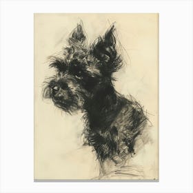 Pumi Dog Charcoal Line Canvas Print