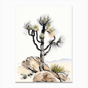 Joshua Tree In Rocky Landscape Minimilist Watercolour  (1) Canvas Print