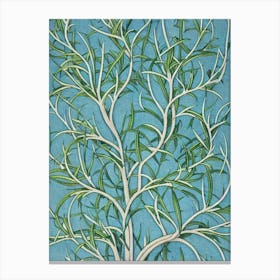 Pinyon Pine 2 tree Vintage Botanical Canvas Print