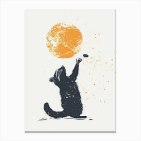 Raccoon 6 Canvas Print