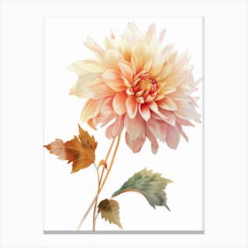 Dahlia 1 Canvas Print