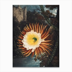 Cactus Flower 10 Canvas Print