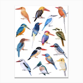 Kingfisher Birds Blue & Orange Canvas Print