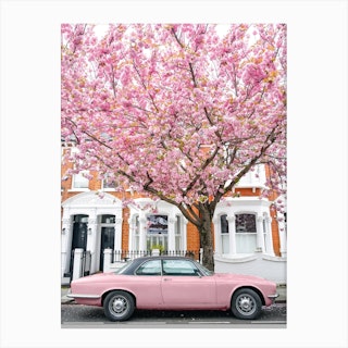 Pretty In Pink Canvas Print
