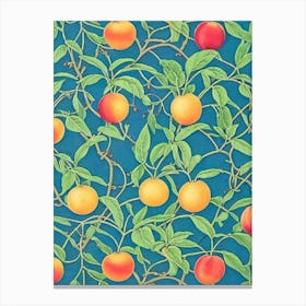 Nectarine Vintage Botanical Fruit Canvas Print