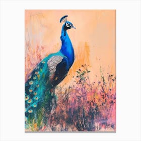 Sketch Of A Peacock Walking 1 Canvas Print