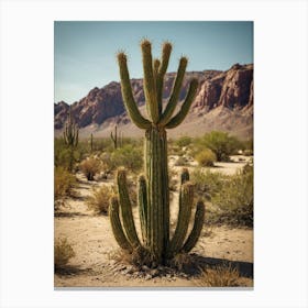 Cactus In The Desert 3 Canvas Print